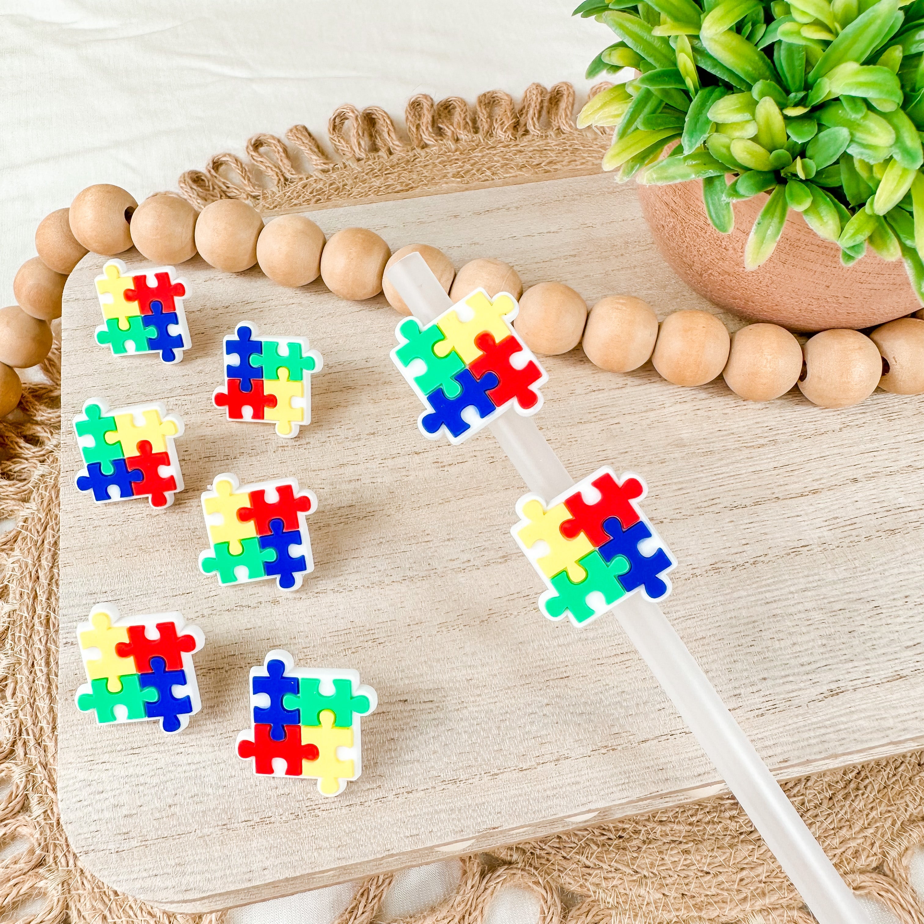 Autism | Straw Charms